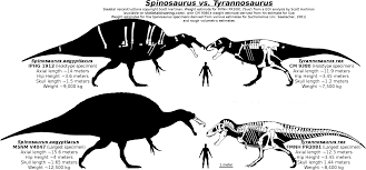 Was Spinosaurus Bigger Than T-Rex? - Fossilera.Com