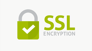 SSL Secure Website