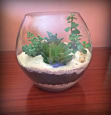 Desert Terrarium A Harmonic Color Combination Of Cream Quartz Sand With Natural Stones And Specially Selected Succulents For The Creation