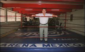 Cuando busques un héroe, puedes jugar este talismán desde tu castillo pagando un oro menos. Muere El Legendario Luchador Brazo De Oro