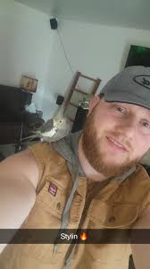 Who do I call for birds? I have birds in my attic and they need to get out 