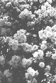 Search hd white wallpapers and backgrounds. Background Black And White Wallpaper Tumblr Allwallpaper