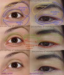 Pin Ot Polzovatelya Ugur Can Ince Na Doske Make Up Looks Uroki Po Risovaniyu Glaz Anatomiya Tyutorial Po Makiyazhu Dlya Glaz