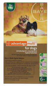 Advantage Multi Heartworms Fleas Worms Mange Free Shipping Bayer Safe Pharmacy Heartworm P Heartworm Flea Treatment Heartworm Prevention