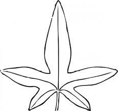 Di dalamnya terdapat pohon yang telah tua sampai tak ada satu daun pun yang tersisa. 10 Ide Gambar Sketsa Daun Ubi Kayu Tea And Lead