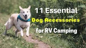 We did not find results for: 11 Essential Dog Accessories For Rv Camping Rvblogger