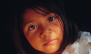 LibroForestMRobles-Elvira-ing-abril2011.indd 1 24/05/2011 06:43:07 p.m.