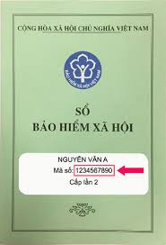 Năm 2020, tôi có 8 tháng làm việc tại việt nam, mức lương 15. Hoáº¡t Ä'á»™ng Há»‡ Thá»'ng Báº£o Hiá»ƒm Xa Há»™i