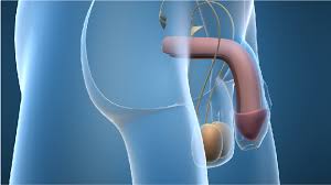 Belly pain, either from enlarged lymph nodes or because the cancer has spread to the liver. Treatment For Stage 4 Testicular Cancer Onco Com