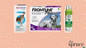 The 7 Best Flea And Tick Prevention Products For Dogs In 2021