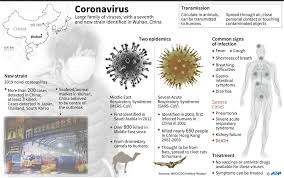Image result for coronavirus