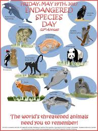 My Annual Free Poster Has Been Uploaded For The Upcoming Endangered Species Day On Friday May 19th Endangered Conservation Activities Endangered Animals