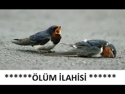 Mp3 indir ve müzik dinle artık çok kolay. Mukemmel Bir Ilahi Hala Olumu Anlamadiysan Dinle Kimler Geldi Gecti Bu Dunyadan Youtube