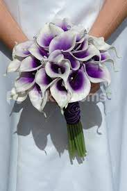 Untitled Document Purple Calla Lilies Purple Wedding Bouquets Calla Lily Bouquet Wedding