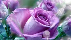 Robert Craddock Obituary (2012)