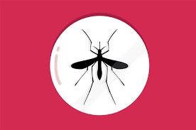 Demam berdarah dengue (dbd) disebabkan oleh gigitan nyamuk dbd, yakni aedes aegypti dan aedes albopictus yang membawa virus cara terbaik dalam pencegahan demam berdarah adalah menghindari gigitan nyamuk dbd. Disebabkan Nyamuk Ini Perbedaan Malaria Dan Dbd