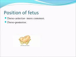 Image result for Shoulder Presentation