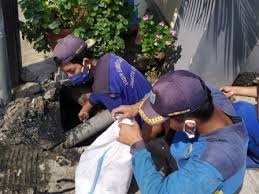 Rekrutmen.net diterbitkan lowongan kerja d3 s1 t indotruck utama april 2021.persyaratan lowongan kerja kurir di jne cabang slawi adalah : 600 Karung Lumpur Diangkut Dari Saluran Di Kedoya Utara Beritajakarta Id