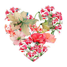 These are the search results for flowers. Beautiful Images Of Hearts And Flowers Top Collection Of Different Types Of Flowers In The Images Hd