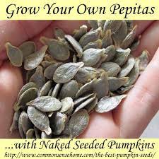 Pepitas Vs Pumpkin Seeds Plus How To Use And Grow Pepitas Pumpkin Seeds Growing Pumpkins Seeds
