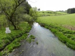 In het noorden vloeien belgië, nederland en duitsland samen in een drielandenpunt. De Oostkantons Een Wandelparadijs Polderke