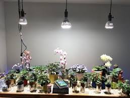 Sansi Led Security Lights Led Bulbs Grow Lights Led Grow Lights Led Grow Light Bulbs Grow Light Bulbs