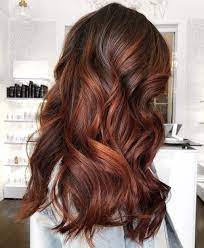What is the difference between auburn and chestnut hair color? Natural Balayage For Auburn Hair Novocom Top