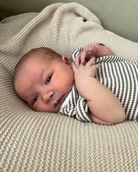 ally megill shipley (@allyshipley) • Instagram photos and videos