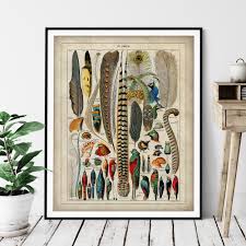 Customize your tropical bird print with hundreds of different frames and. Antique Bird Feathers Print Vintage Bird Art French Wall Art Bird Watcher Gift Tropical Bird Art Bird Lover Gift Bird Chart Poster