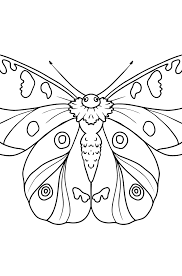 Butterfly is a beautiful, flying insect with large scaly wings.butterfly coloring pages always have many areas to put different colors inside it.the wing pattern has different sizes of small areas that you can use for the coloring area. Butterfly Coloring Pages