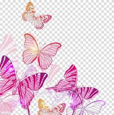 Are you searching for butterfly clipart png images or vector? Butterfly Pink Butterfly Pink And Orange Butterflies Illustration Transparent Background Png Clipart Hiclipart