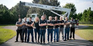 Gaston S Tree Service Serving North Florida Since 1972