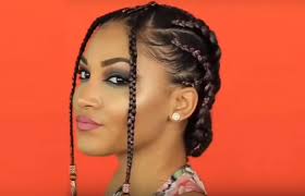 The braids are styled into a ponytail and are bold pink. The 411 On Fulani Braids