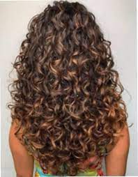 Curly Hairstyles Ponytail Curly Haircut Knoxville Short Curly Hairstyles Over 70 Curly Curly Hair Styles Long Curly Haircuts Ponytail Hairstyles