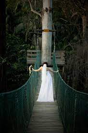 Wedding Venue Cedar Creek Lodges Mount Tamborine Gold Coast And Brisbane Lodge Wedding Gold Coast Wedding Package