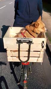 Hunde Fahrradbox Selbstgebaut Fahrradbox Fahrrad Selber Bauen