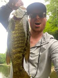 Anyone know what the lumps