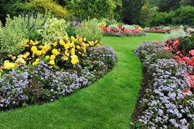 Preparing a new flower bed or getting an annual bed ready for spring planting requires some work before it's ready for the plants. Establish A New Garden Bed Scotts Australia