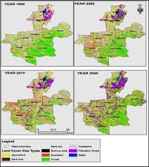Image result for Eriosema flexuosum