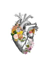 Floral Weisses Herz Anatomie Wandkunst Wand Dekor Etsy In 2020 Skulls Drawing Rib Cage Drawing Drawings