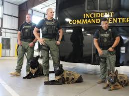All Maricopa County Sheriff S Office K 9s Get Bullet Protective Vests From Non Profit In 2020 Sheriff Office Maricopa County County Sheriffs