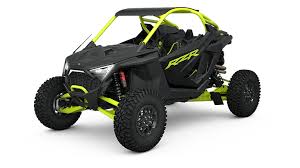 Image result for Black Onyx 2024 RZ