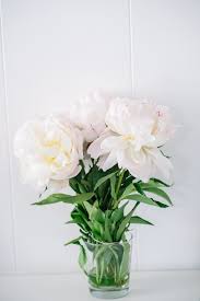 Pin On Blossom