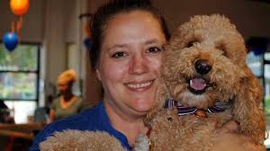 Visit doggiezen.com for ahimsa dog & puppy training class info for classes in seattle. Seattle Dog Training Agility Obedience Puppy Zoom Room Dog Training