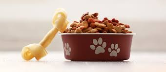 Check spelling or type a new query. The Best Dry Dog Food Review In 2021 My Pet Needs That