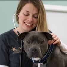 Our Expert Veterinarians in Princeton, NJ