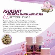Meskipun khasiatnya tampak begitu sempurna, ada yang perlu diperhatikan dalam penggunaan langsung buah menjakani ini. 100 Manjakani Khasiat Kebaikan Untuk Wanita Betul2ori Betul2 Mengetatkan Shopee Malaysia