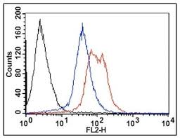The sample of interest is mixed with the qubit working solution, incubated at room temperature for 2 min, and the fluorescence read. Rna Synthesis Assay Kit Ab228561 Abcam