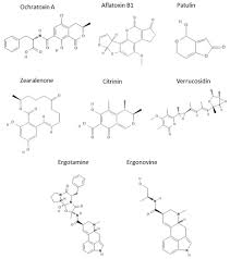 The sample was injected as a. Molecules Free Full Text Pre Concentration And Analysis Of Mycotoxins In Food Samples By Capillary Electrophoresis Html