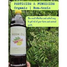 Neem oil supports hair follicle growth and supports a healthy division of cells. Neem Oil For Plants Animal Pests Hair Growth Acne 1l Shopee Philippines